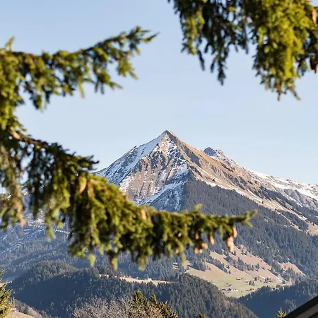 Lägenhet La Petite Silene *