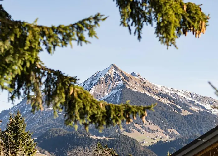 Apartman La Petite Silene *